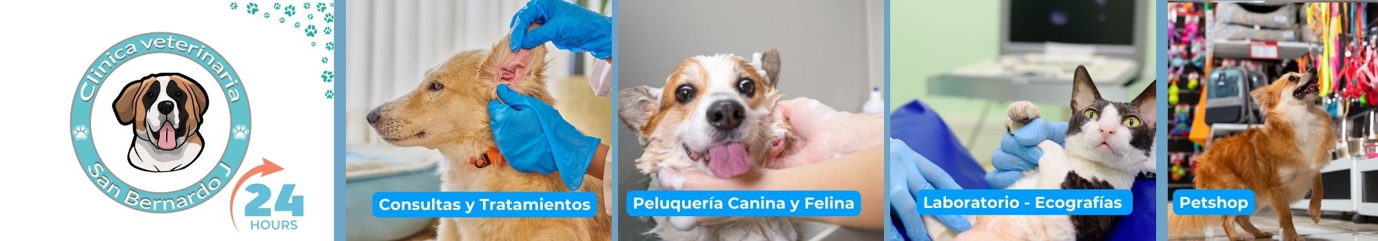 Guiatelefonica.com.ec